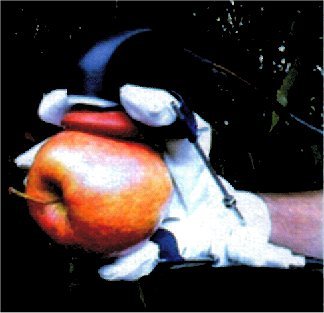 In: "Science et Vie", n.º 1010, Nov. 2001, p. 51.