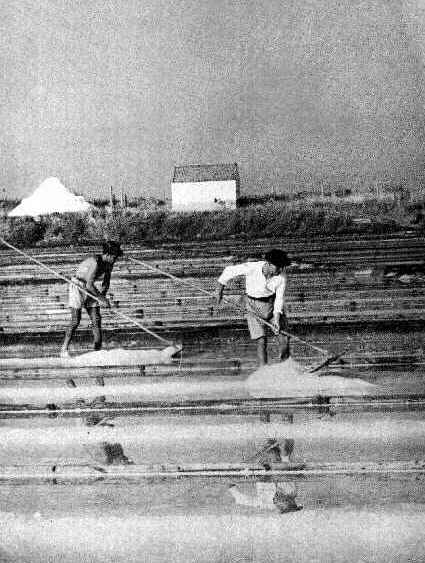 � com arte e beleza, trag�dia e gl�ria, que o marnoto esculpe os cristais de sal.