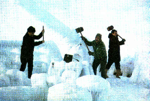 A pesca do bacalhau � dura nos gelados mares do norte.