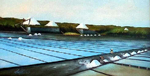 Reprodu��o da pintura a �leo das salinas de Aveiro existente num caf� da cidade de Aveiro.