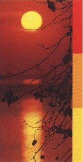 Helena Velosos e Lu�s Almeida, Educa��o Visual e Tecnol�gica, Porto Editora, P�g. 29