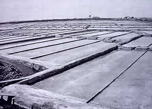 Perspectiva de uma marinha de sal em labora��o. Clicar para ampliar.
