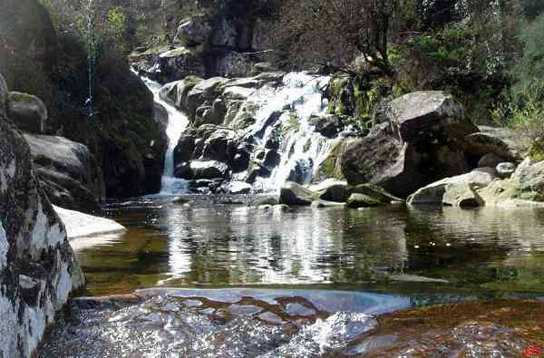 Fotografia de Jos� Santos Silva, �gueda 2007.