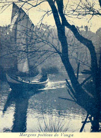 Margens po�ticas do Vouga