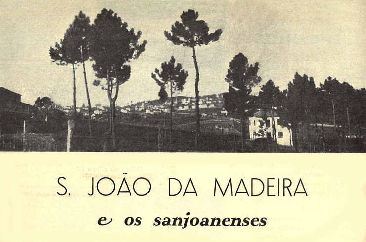 Vista de São João da Madeira
