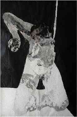 Auto-retrato - O resto das Partes II - Self Portrait The Rest of the Parts II | Desenho t�cnica mista s/ papel - Drawing mixed technique on paper | 60,5x85 cm. 2006