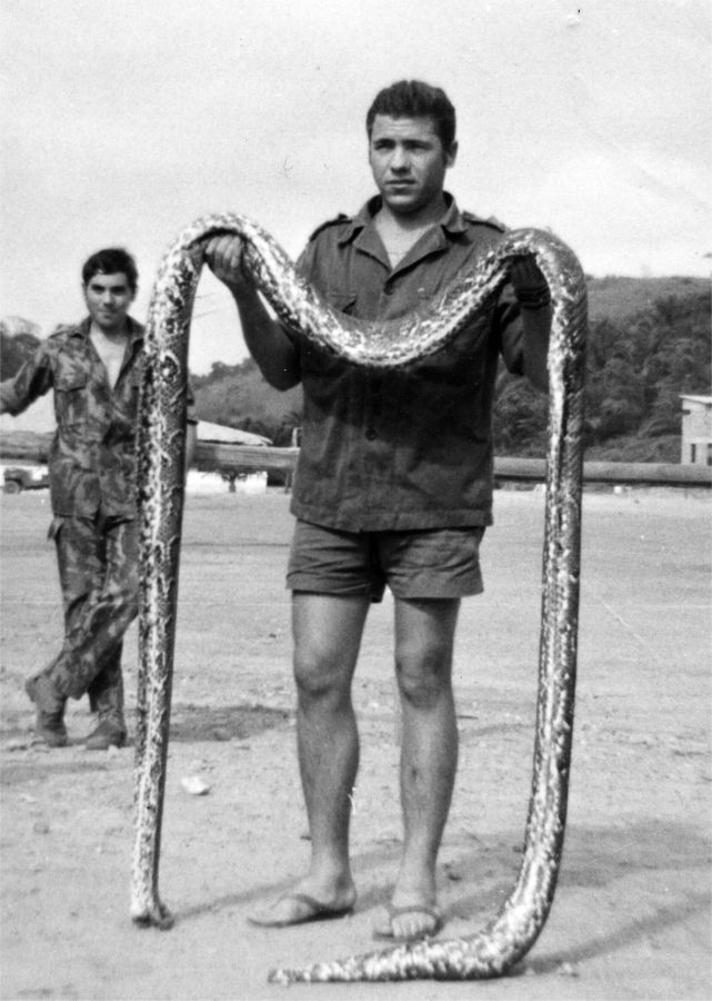 Sousa electricista com a jib�ia, no Quixico em 11/06/1972.