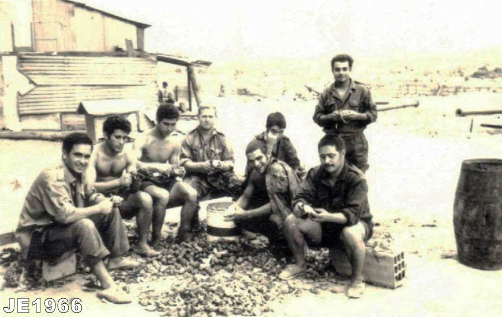 Clicar para ampliar.