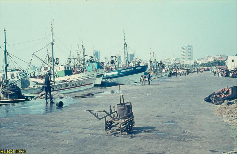 Clicar para ampliar.