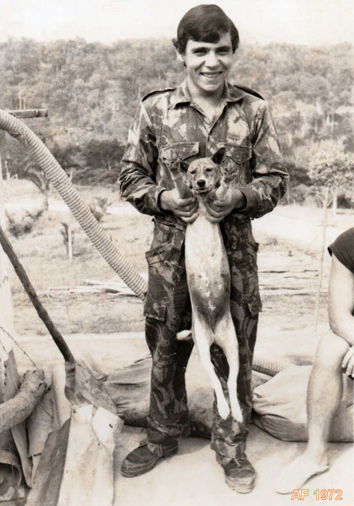 Clicar para ampliar.