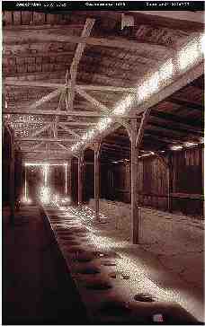 Adolf, George & Co | Fotografia em pel�cula infravermelho por impress�o electroest�tica s/ alum�nio (alcobond) - Photography on infra-red pellicule by electrostatic printing on aluminium (alcobond) | 100x150 cm. 2006.