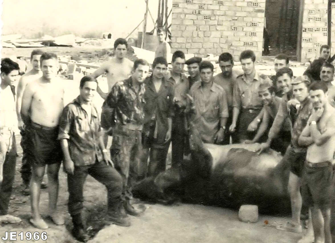 Clicar para ampliar.