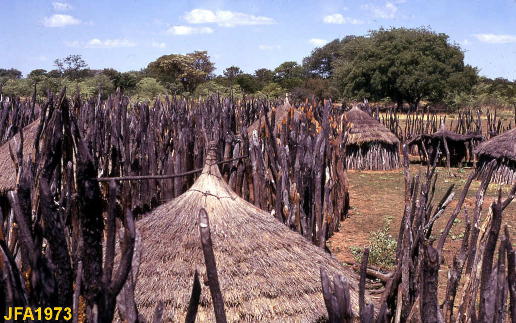 Clicar para ampliar.