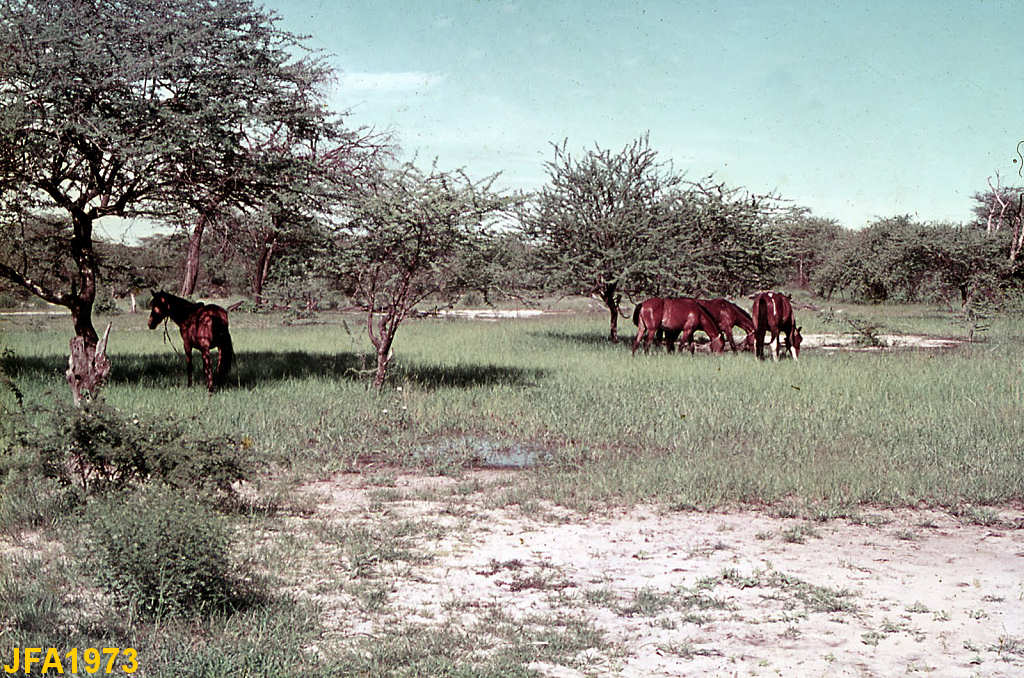 Clicar para ampliar.