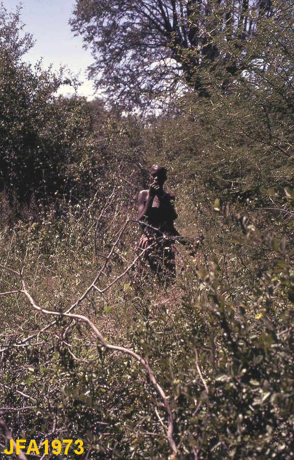 Clicar para ampliar.