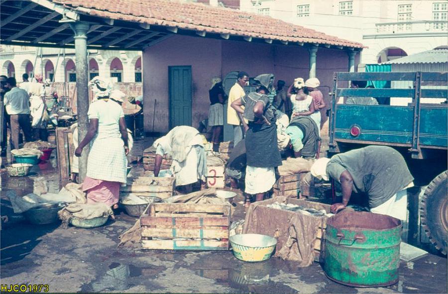 Clicar para ampliar.