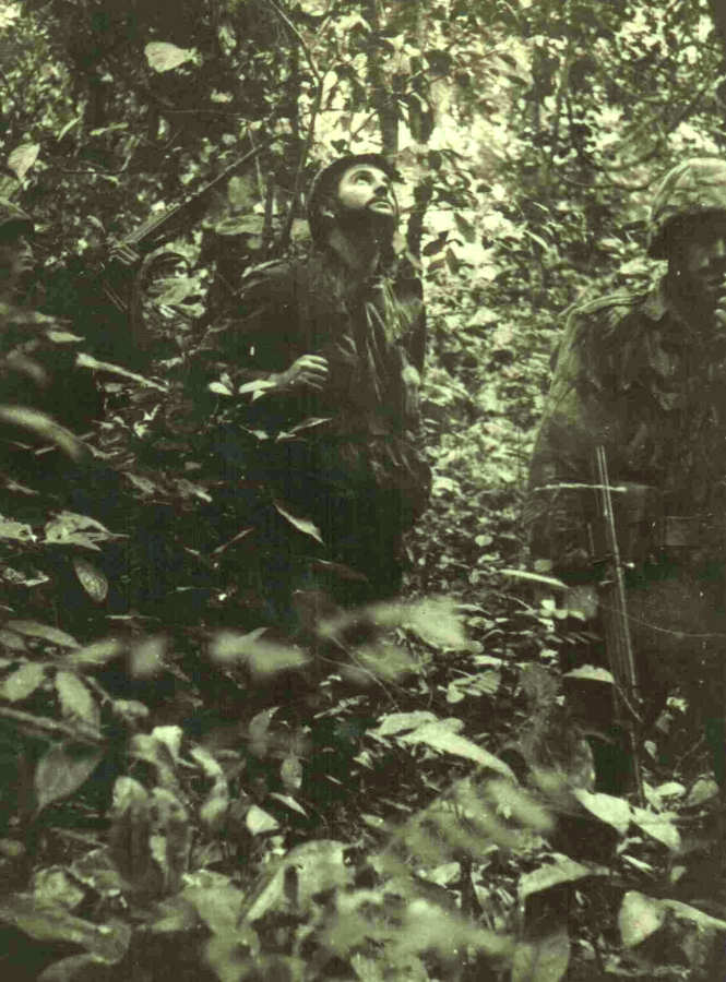 Clicar para ampliar.