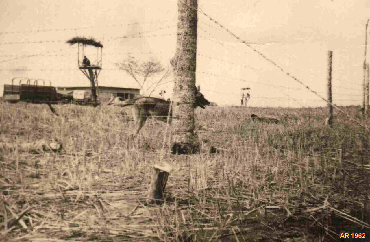 Clicar para ampliar.