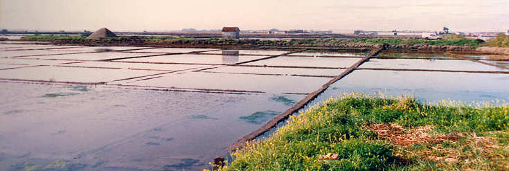 Clicar para ampliar.