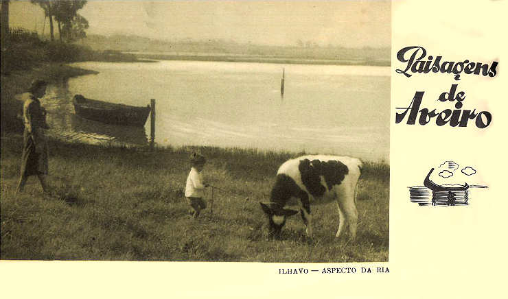 �lhavo - Aspecto da Ria