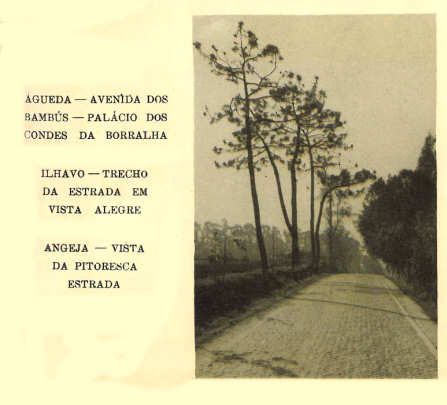 �lhavo - Trecho da estrada na Vista Alegre
