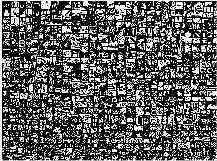 Sinal�tica 1 - Signal 1 | Desenho - Drawing | 70x50 cm. 2006