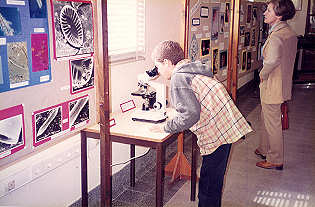 2 - Apreciando o maravilhoso mundo microsc�pico de seres siliciosos.