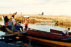 Clicar para ampliar.
