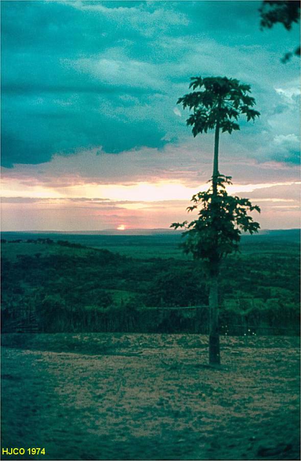 Clicar para ampliar.