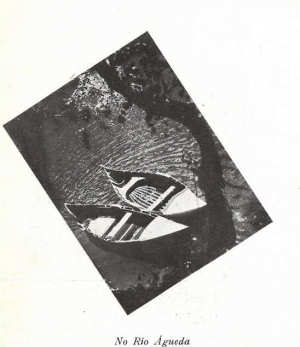 No rio Águeda