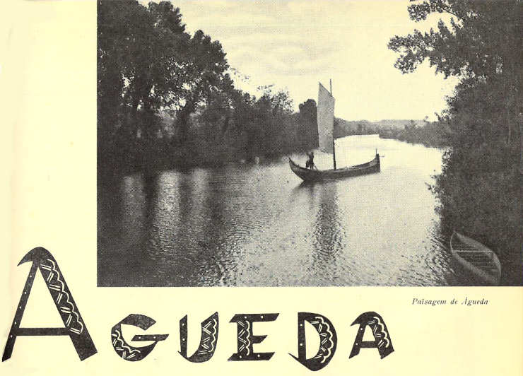 Paisagem de �gueda