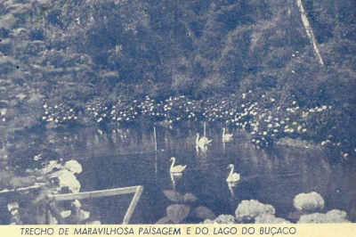 Trecho da maravilhosa paisagem e do lago do Bu�aco.
