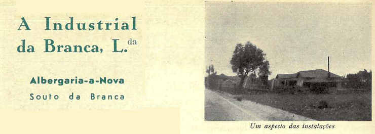 Um aspecto das instala��es da Industrial da Branca, Lda