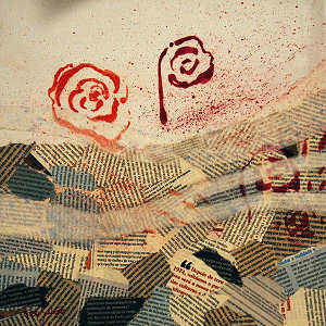 Rosa Galv�o - V�nus - Clicar para ampliar.