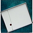 �leo sobre tela - 70x70 cm.