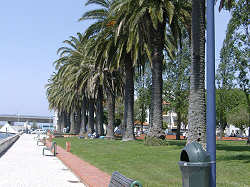 Canal das Pir�mides e Rossio - 2008