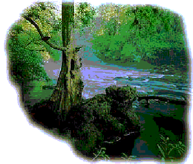 Clique nesta imagem para leitura das p�ginas.