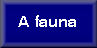 A fauna
