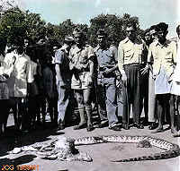 Clicar para ampliar.