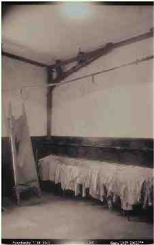 Adolf, George & Co | Fotografia em pel�cula infravermelho por impress�o electroest�tica s/ alum�nio (alcobond) - Photography on infra-red pellicule by electrostatic printing on aluminium (alcobond) | 100x150 cm. 2006.