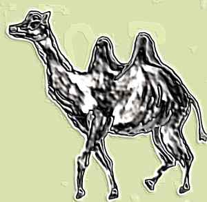 Desenho de Filipa Rocha - 9� A