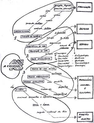 A concha, símbolo da ADERAV.