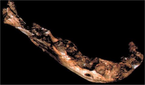 In: "Science et Vie", n.� 1010, Nov. 2001, p. 38.