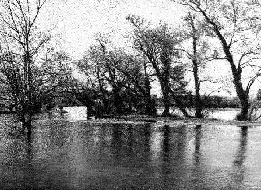 Cheias do Vouga e �gueda, em Eirol.