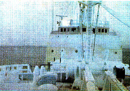 A pesca do bacalhau é dura nos gelados mares do norte.