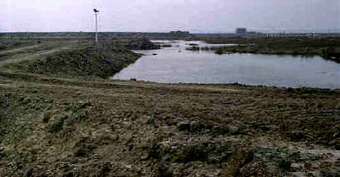 Se tem o computador ligado � Internet, clique na imagem para entrar no endere�o abaixo indicado.