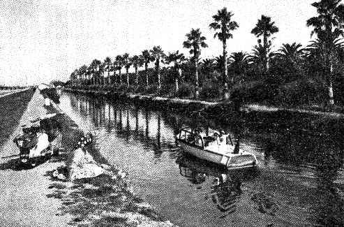 O milagre botânico do jardim de Oudinot.