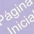 P&aacute;gina Inicial