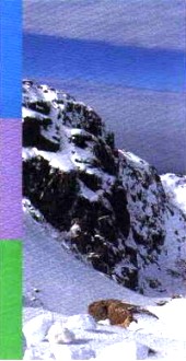 Helena Velosos e Lu�s Almeida, Educa��o Visual e Tecnol�gica, Porto Editora, P�g. 29