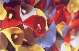 Helena Veloso e Lu&iacute;s Almeida, Educa&ccedil;&atilde;o Visual e Tecnol&oacute;gica, 5&ordm;/6&ordm;, Porto Editora, p&aacute;g. 16